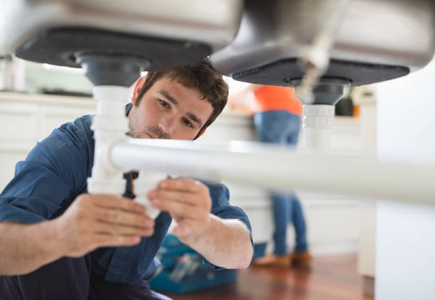 Best Toilet Repair Services  in North Alamo, TX