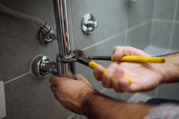 Best Local Plumber Services  in North Alamo, TX